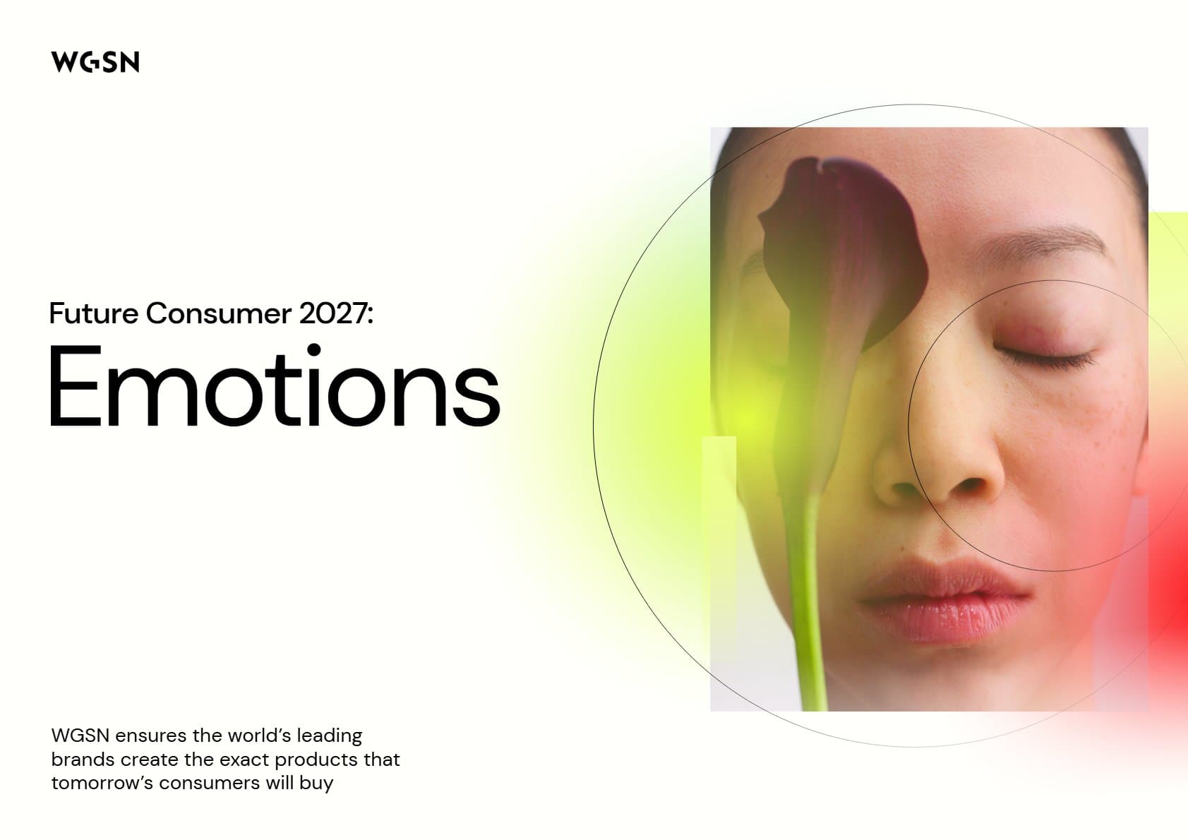 Потребитель будущего 2027: Эмоции